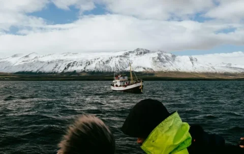 Tromso Guideforening Whale Watching Guide Course