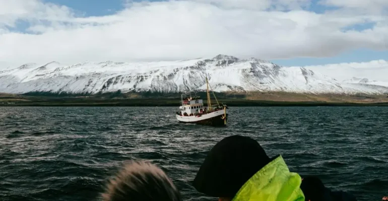 Tromso Guideforening Whale Watching Guide Course